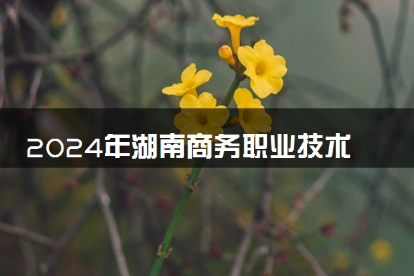 2024年湖南商务职业技术学院各省招生计划及招生人数 都招什么专业