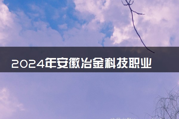 2024年安徽冶金科技职业学院各省招生计划及招生人数 都招什么专业