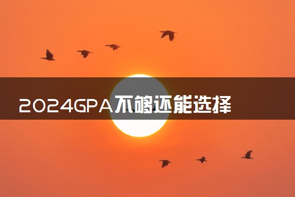 2024GPA不够还能选择哪些留学途径