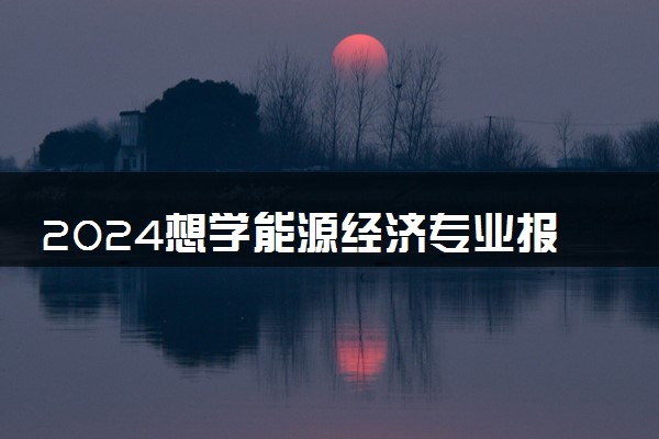 2024想学能源经济专业报什么学校 哪个大学好