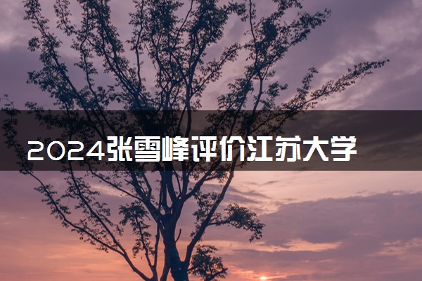 2024张雪峰评价江苏大学怎么样 什么档次多少分能上