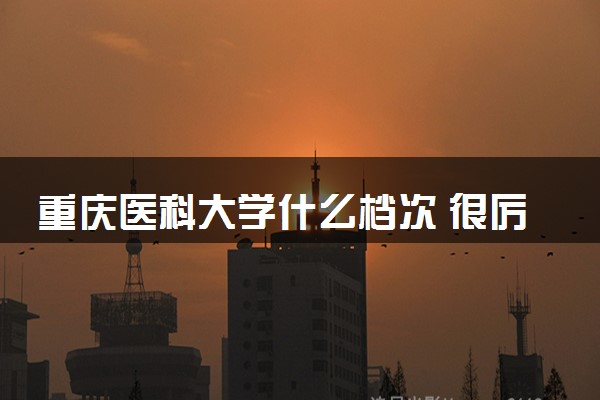 重庆医科大学什么档次 很厉害吗