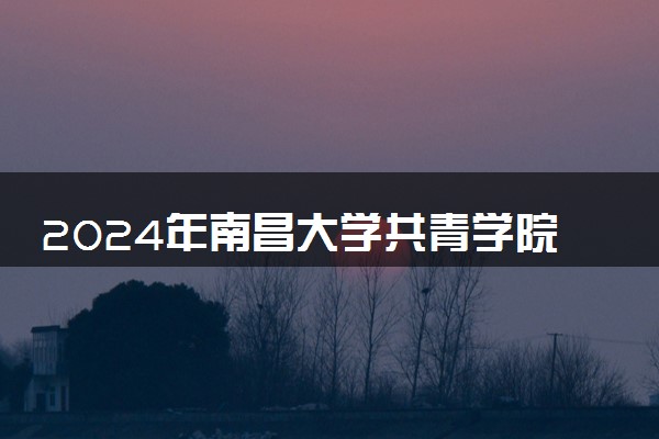 2024年南昌大学共青学院各省招生计划及招生人数 都招什么专业