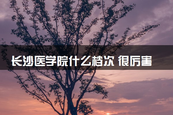 长沙医学院什么档次 很厉害吗