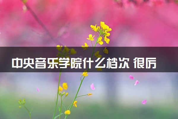 中央音乐学院什么档次 很厉害吗