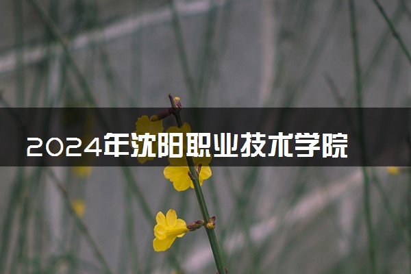 2024年沈阳职业技术学院招生计划专业及各省录取分数线位次