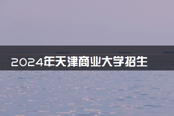 2024年天津商业大学招生计划专业及各省录取分数线位次