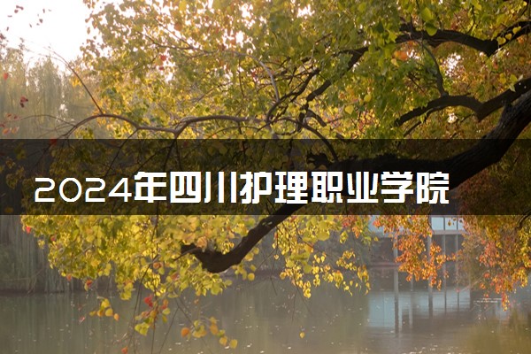 2024年四川护理职业学院招生计划专业及各省录取分数线位次