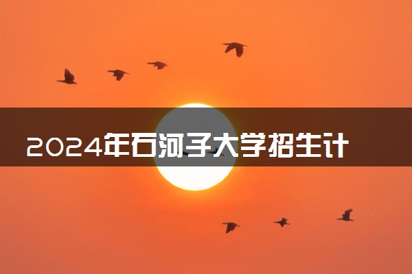 2024年石河子大学招生计划专业及各省录取分数线位次