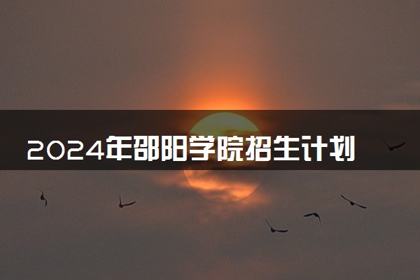 2024年邵阳学院招生计划专业及各省录取分数线位次