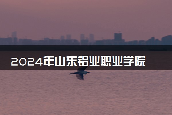 2024年山东铝业职业学院招生计划专业及各省录取分数线位次