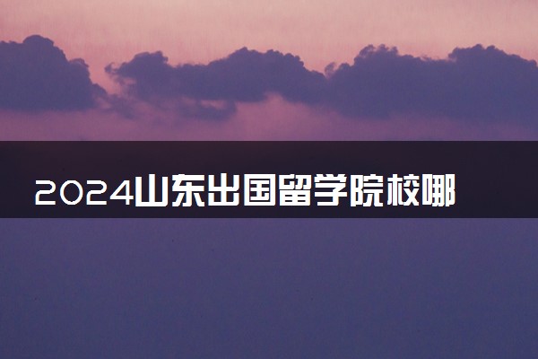 2024山东出国留学院校哪个好 具体学校名单