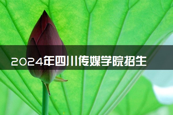 2024年四川传媒学院招生计划专业及各省录取分数线位次