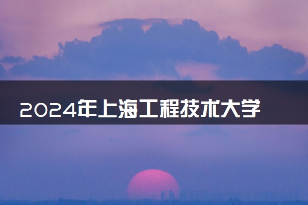 2024年上海工程技术大学招生计划专业及各省录取分数线位次