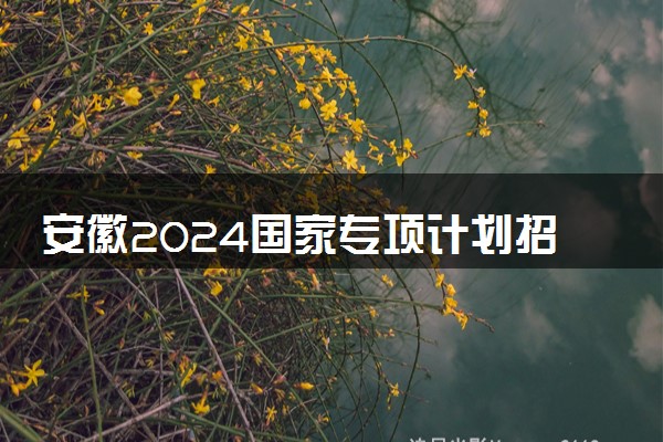 安徽2024国家专项计划招生专业汇总(物理类) 能报什么专业