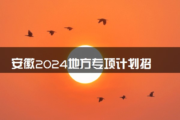 安徽2024地方专项计划招生专业汇总(物理类) 能报什么专业