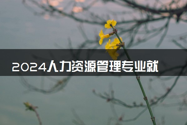 2024人力资源管理专业就业前景及方向 就业岗位有哪些