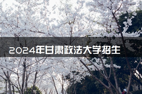 2024年甘肃政法大学招生计划专业及各省录取分数线位次