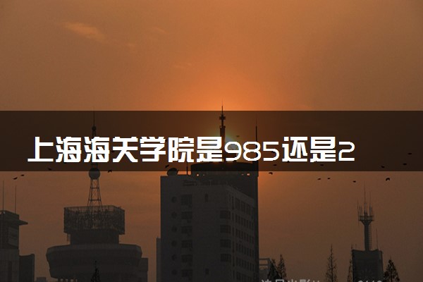 上海海关学院是985还是211 录取分数线是多少