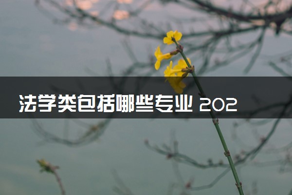 法学类包括哪些专业 2024哪些专业前景好