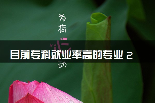 目前专科就业率高的专业 2024什么专业前景好