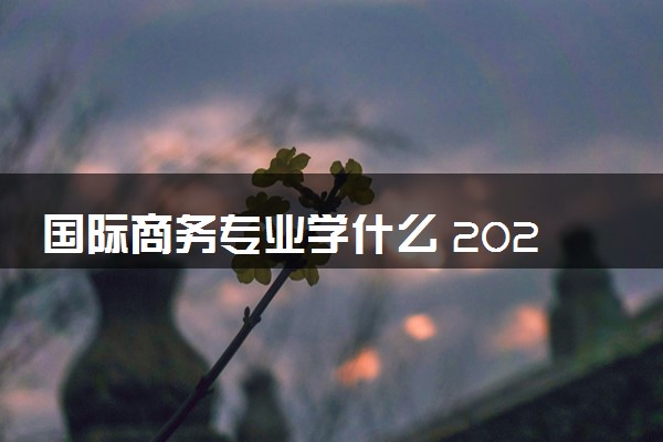 国际商务专业学什么 2024有哪些课程