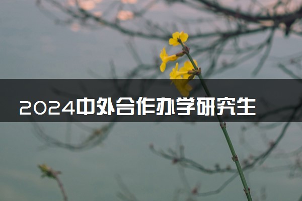 2024中外合作办学研究生毕业算留学吗 二者有什么区别