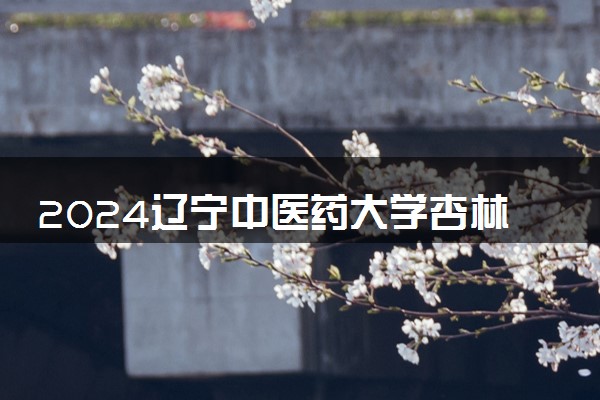 2024辽宁中医药大学杏林学院招生章程 录取规则是什么