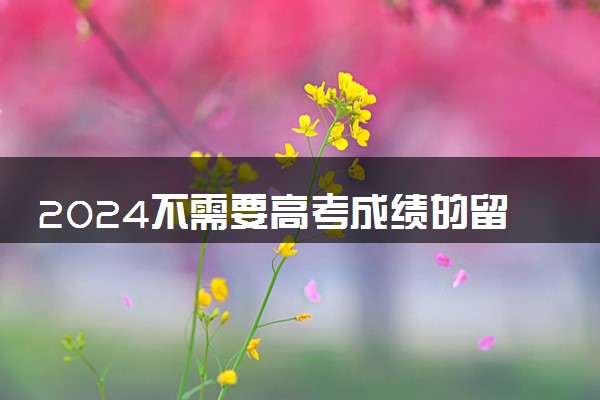 2024不需要高考成绩的留学国家有哪些 去哪最好