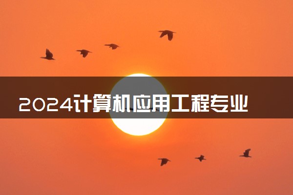 2024计算机应用工程专业学什么 就业前景好吗