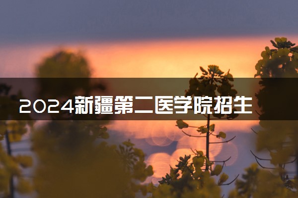 2024新疆第二医学院招生章程 录取规则是什么