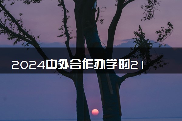 2024中外合作办学的211社会认可吗 含金量高吗