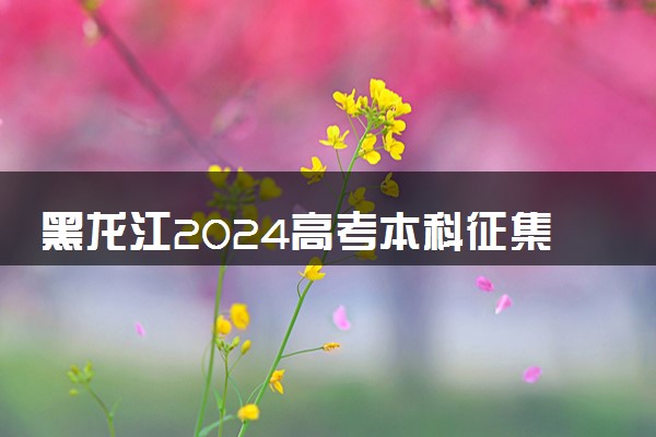 黑龙江2024高考本科征集志愿填报时间和截止时间