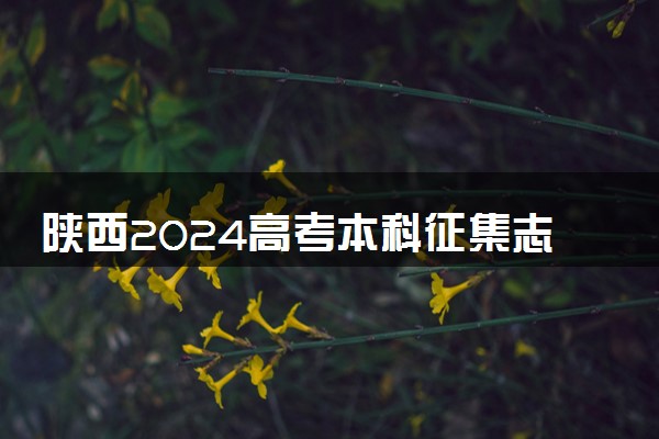 陕西2024高考本科征集志愿填报时间和截止时间