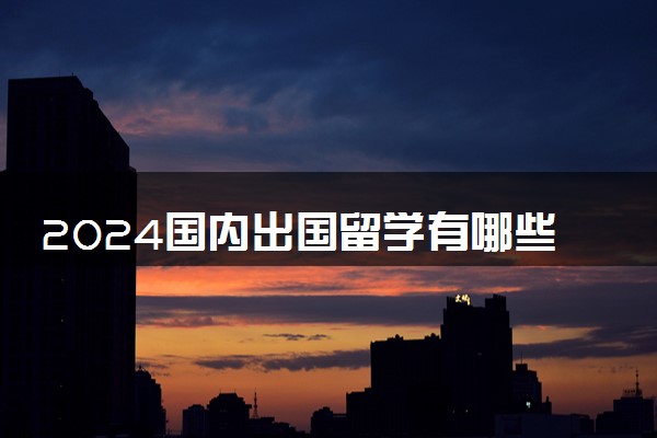 2024国内出国留学有哪些途径呢 有哪些地方