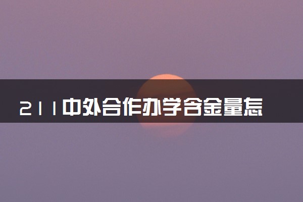 211中外合作办学含金量怎么样 2024可以上吗