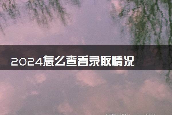 2024怎么查看录取情况 没被录取怎么办