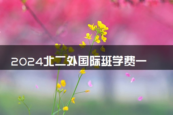 2024北二外国际班学费一年多少 大概要花多少钱