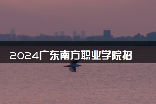 2024广东南方职业学院招生章程 录取规则是什么