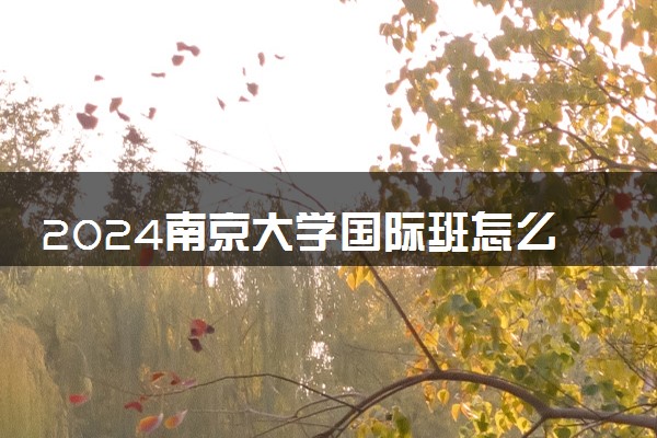 2024南京大学国际班怎么样 3+1中外合作办学项目好吗