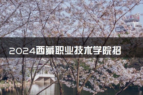 2024西藏职业技术学院招生章程 录取规则是什么