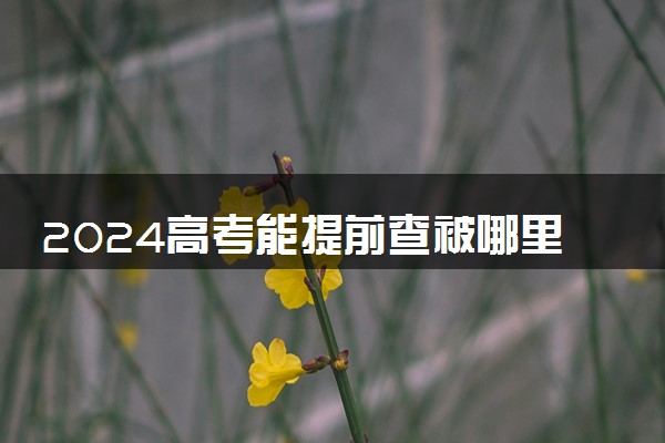 2024高考能提前查被哪里录取吗 怎么查询录取结果