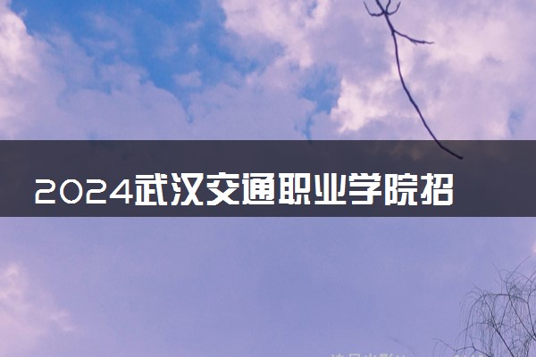 2024武汉交通职业学院招生章程 录取规则是什么