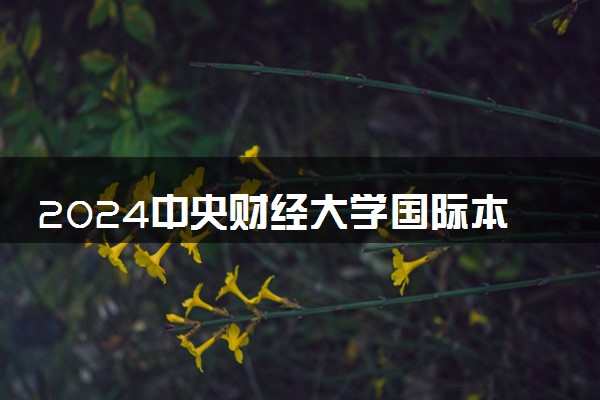 2024中央财经大学国际本科招生2+2要求是什么