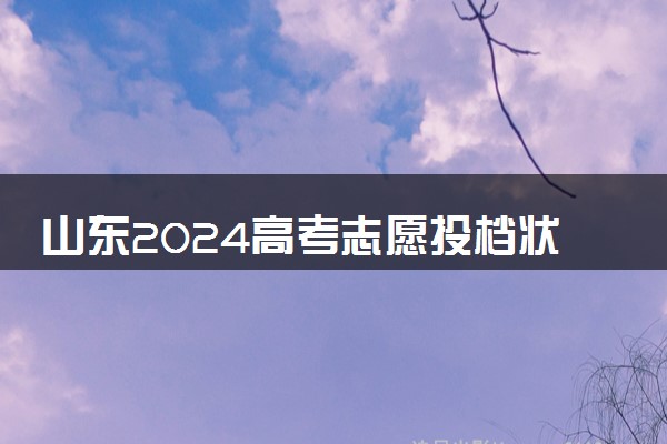 山东2024高考志愿投档状态怎么查 查询步骤及入口