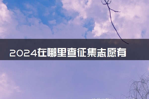 2024在哪里查征集志愿有哪些学校 查询方式有什么