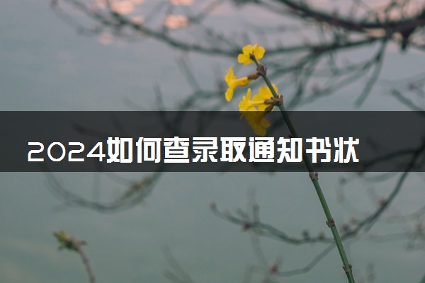 2024如何查录取通知书状态 查询方法有哪些