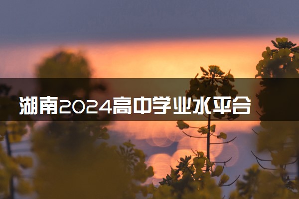 湖南2024高中学业水平合格性考试成绩查询时间 去哪里查