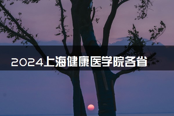 2024上海健康医学院各省录取分数线是多少 附历年最低分