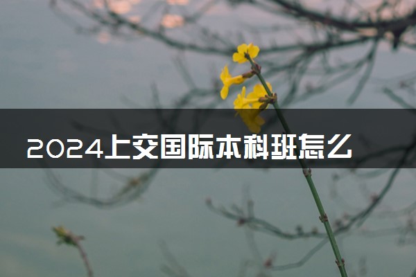 2024上交国际本科班怎么样 有哪些优势